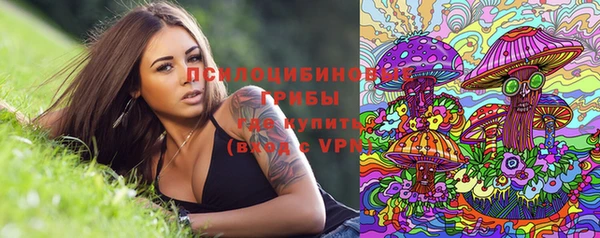 спайс Ельня
