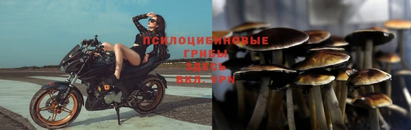 спайс Ельня