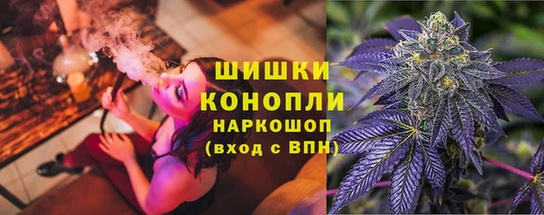 спайс Ельня