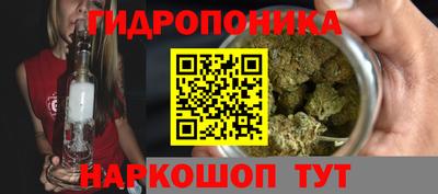 прущие крисы Кимры