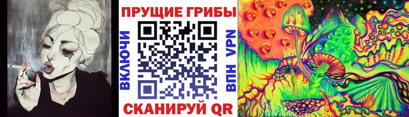 продажа наркотиков  hydra ТОР  Псилоцибиновые грибы ЛСД  Среднеуральск 